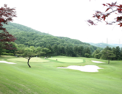 동코스12