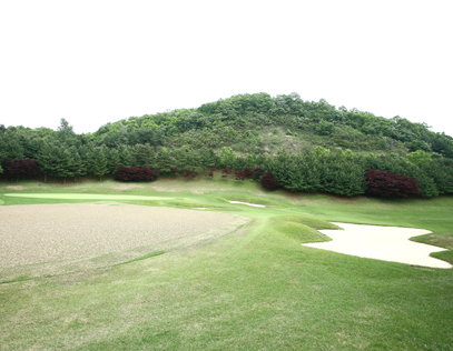동코스4
