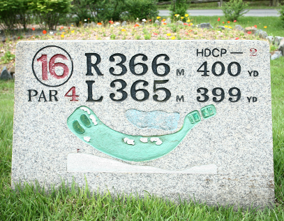 서코스16