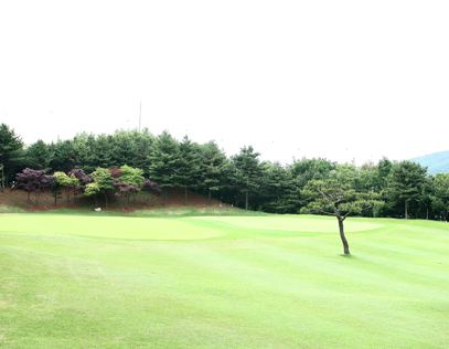 서코스1