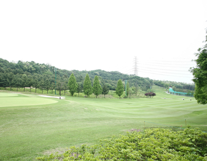 서코스5