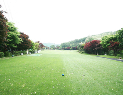 서코스7