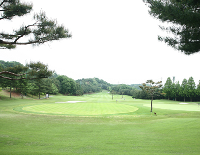 서코스9