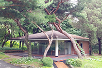 서코스6